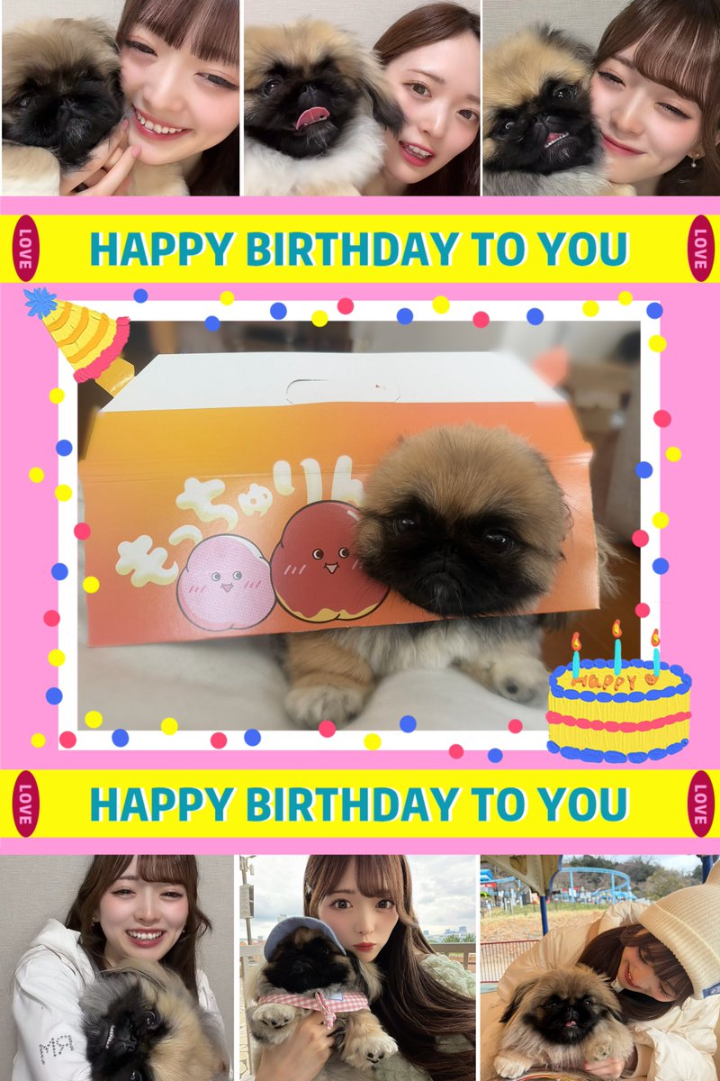 yusuke_karatea's tweet photo. もこたんおめでとう🎉🐶
#春瀬もこ生誕祭2026 https://t.co/jhjGvGUZ0w