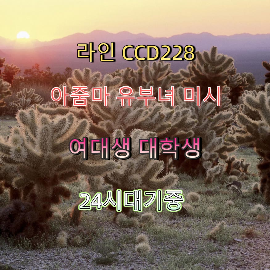 imenberz's tweet photo. 🥵🔇📗 #진안 #진안만남 #조건 #진안ㅈㄱ #섹트 #ㄱㄷ #만남 #일탈 https://t.co/KPY70GaCnI