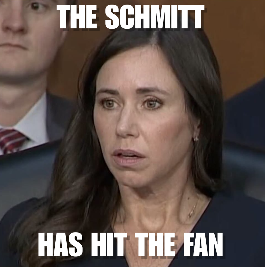JacobWest533151's tweet photo. @JoyceWhiteVance When it comes to the GOP's midterm prospects... https://t.co/XGKSfs94f4
