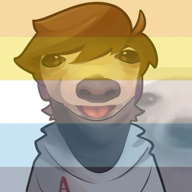 Regniishere's tweet photo. AQUINO ASEXUAL Y COMO AQUINO NO SABE CASI D ESTO SÉ Q SE REFERÍA A AROACE, C!AQUINO AROACE CANOOOOON https://t.co/Lq9HA1Ghco