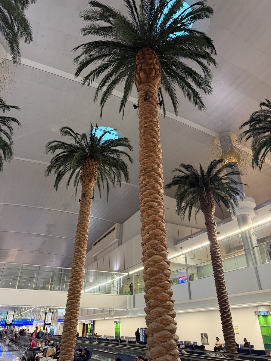 chrisadelaide's tweet photo. Hello from Dubai.
Next stop Nice, Côte d’Azur.
#GetBusyLiving ✈️ 🇫🇷 https://t.co/ajJjhsh5lz