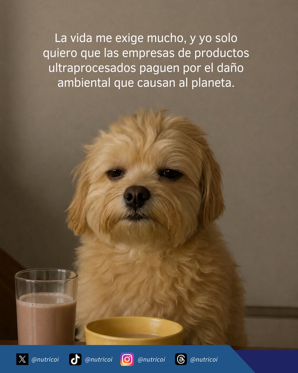 NutriCOI's tweet photo. Los productos ultraprocesados no solo afectan la salud, también están destruyendo el planeta 😢

Su fabricación implica altos niveles de energía, transporte y empaques que dejan una huella ambiental enorme

📌 Nota completa en: https://t.co/LRcVmqLwQF

#SaludPlanetaria #chatarra https://t.co/GSrYF1ucYd