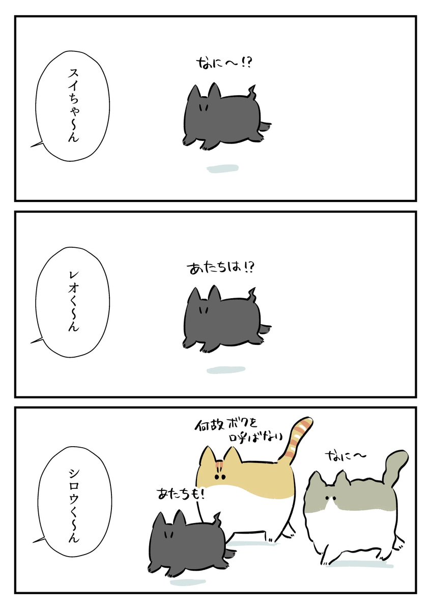 hide_pau's tweet photo. 名前を呼んだ時の反応 https://t.co/QnMZEPSzwm