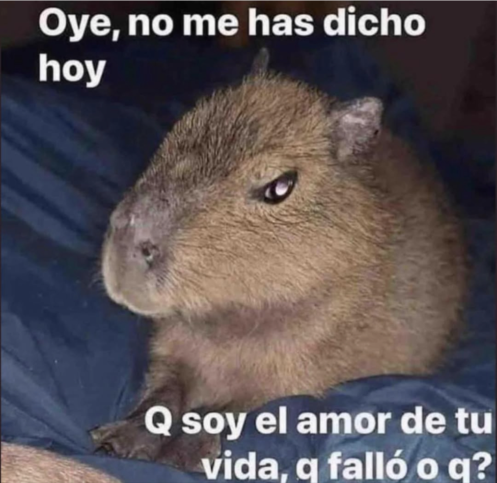 Guarromantico_ tweet picture