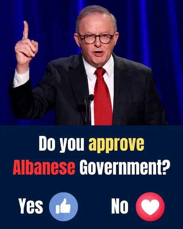 BenjaminBlca's tweet photo. Be honest, Do you approve?🤔👇

#australia #aussie #auspol #melbourne #sydney — in Sydney, NSW, Australia. https://t.co/9YPZGk7wFU
