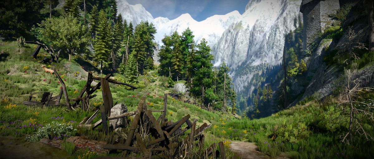 deCode_Art666's tweet photo. I'm homeโ๏ธโค๏ธ
#TheWitcher3Remastered #TheWitcher3PhotoMode https://t.co/I1yuS2I0rT