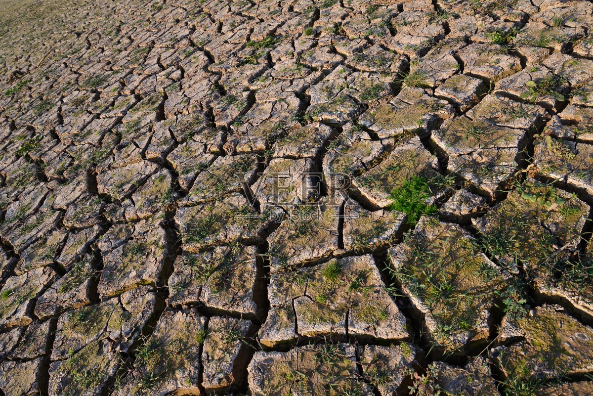 eun437791's tweet photo. [This dry land needs good soil moisture—smooth satin, kind words, and dare to hope for rain!]， https://t.co/OekpSVeJjx