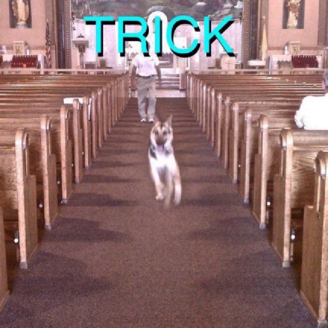 DailySandyAlexG tweet picture