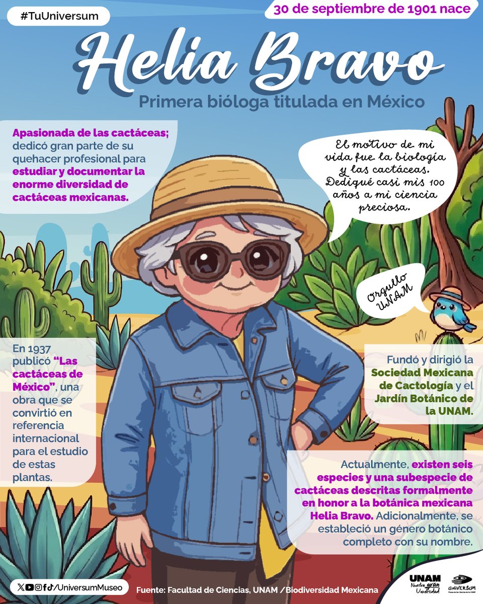UniversumMuseo's tweet photo. #UnDiaComoHoy  Nace Helia Bravo Hollis,  primera bióloga mexicana.  🌵🌸
👇Conoce más sobre ella y su pasión sobre las cactáceas 👇
#TuUniversum https://t.co/AoBJEpMfEM