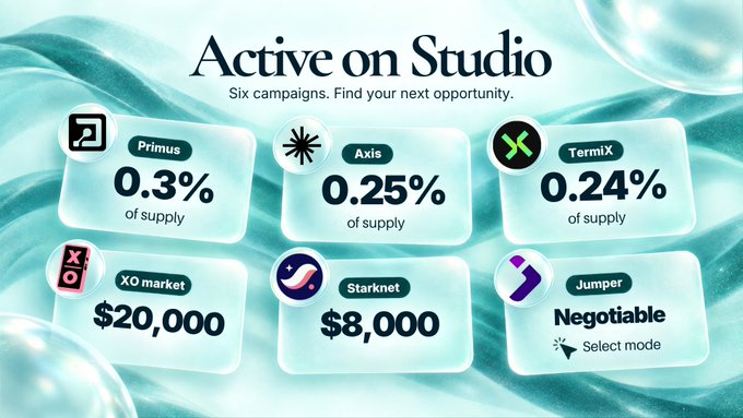 A digital dashboard titled 'Active on Studio' displays six campaigns: Primus (0.3%), Axxis (0.25%), TermiX (0.24%), XO market ($20,000), Starknet ($8,000), and Jumper (Negotiable).