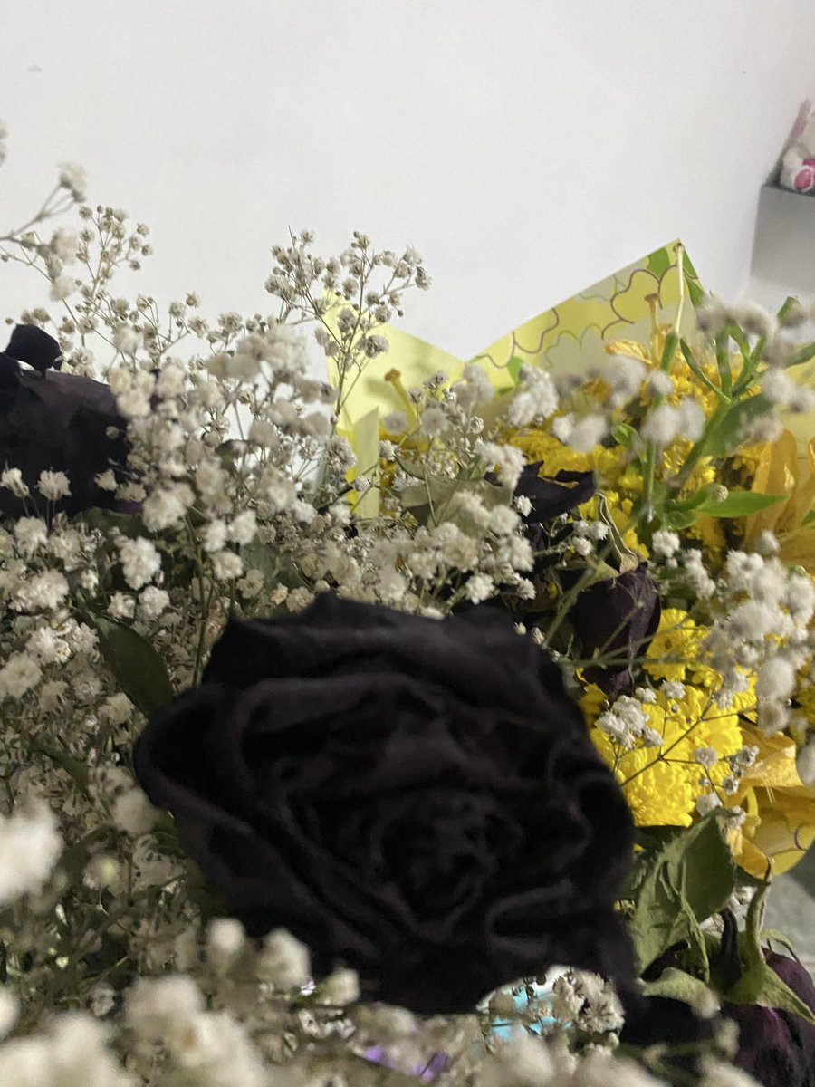 not_annaa's tweet photo. Ojala sus flores me durarán más, como la felicidad que él me hace sentir https://t.co/OqMcwhpfb5