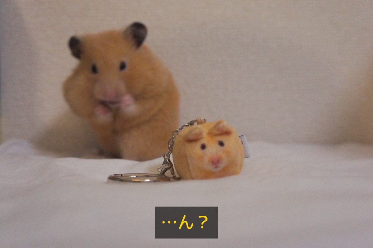 softthumbnailjp tweet picture
