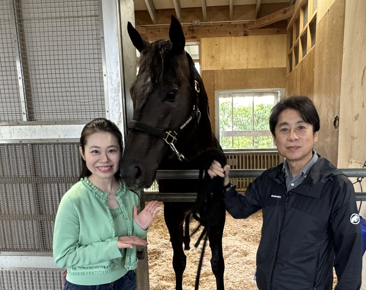 daily_nozato's tweet photo. ＃日本テレビ盃 から
南関東予想デビューです🐎🌷

初陣の注目馬は…🥰💓
こちらは本紙とは別カットです📸
好きあらばチューしてこようとする
＃カゼノランナー 🐎🐎🐎
※6月撮影です https://t.co/AuAP7lYEbr