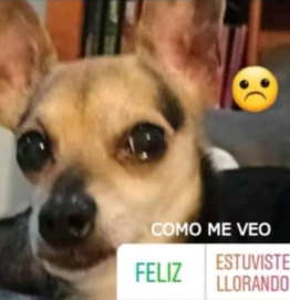 benkinu's tweet photo. @kttecito Yo sé que ellos amarian Ecuador https://t.co/2q3B6WlaZ5