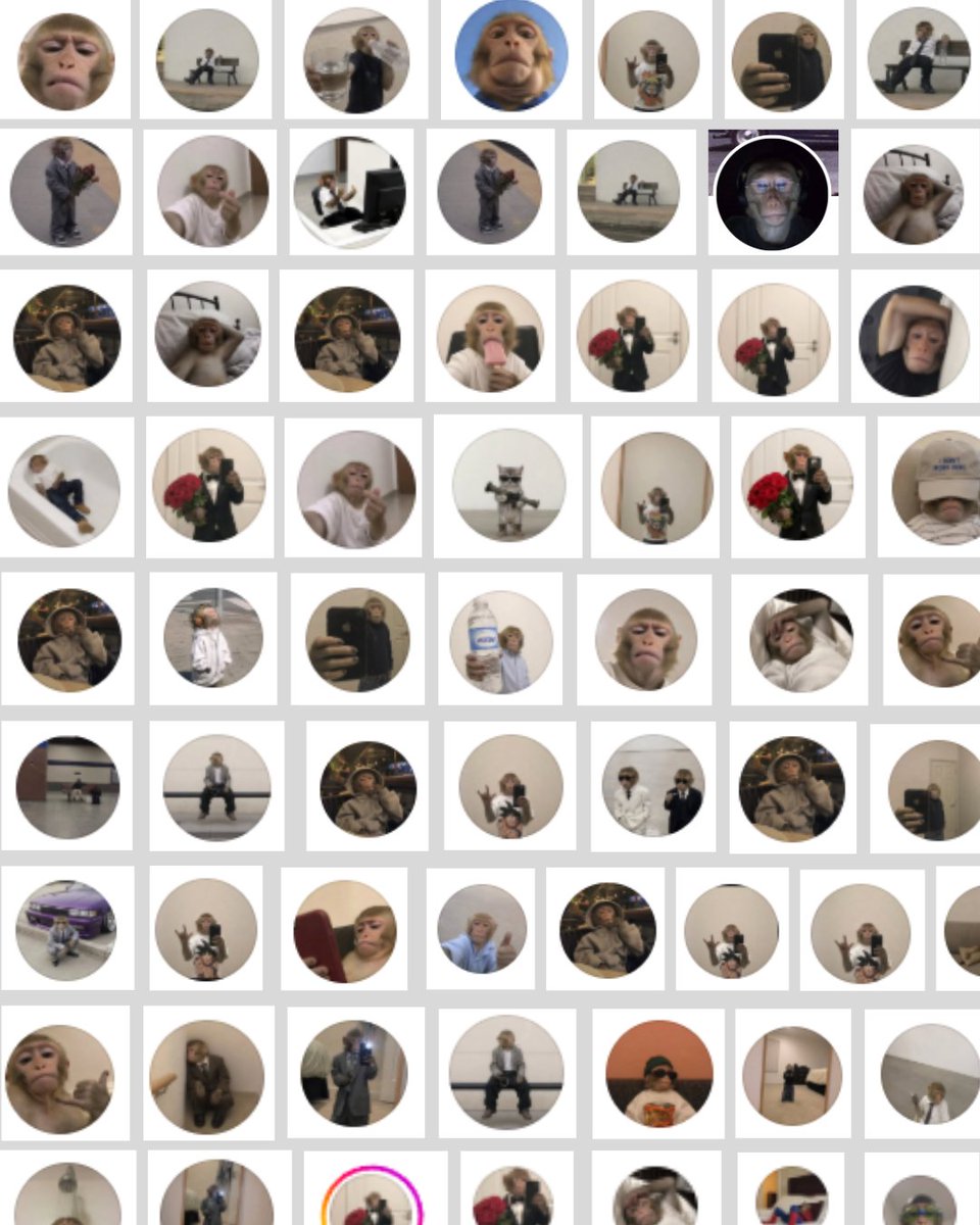 arthurisonchain's tweet photo. IG already has the cult going. time for the CT PFP cult 🤟 https://t.co/SpzAODGVPB