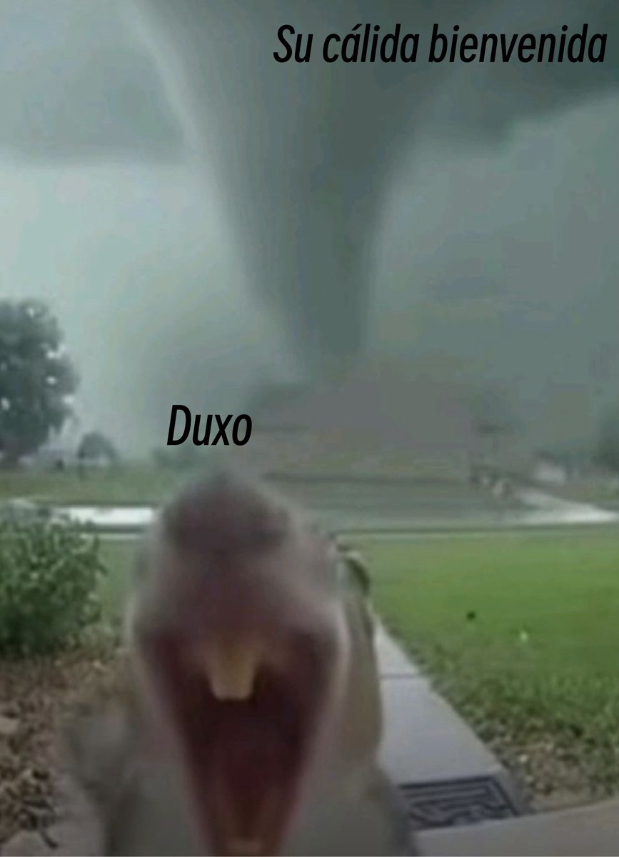 Kiki__k00's tweet photo. Buen día nadie se murió(milagro)y el momento revil fue god 
Veremos que será de hoy 
#Dedsafío4 https://t.co/aKm4goxFlu
