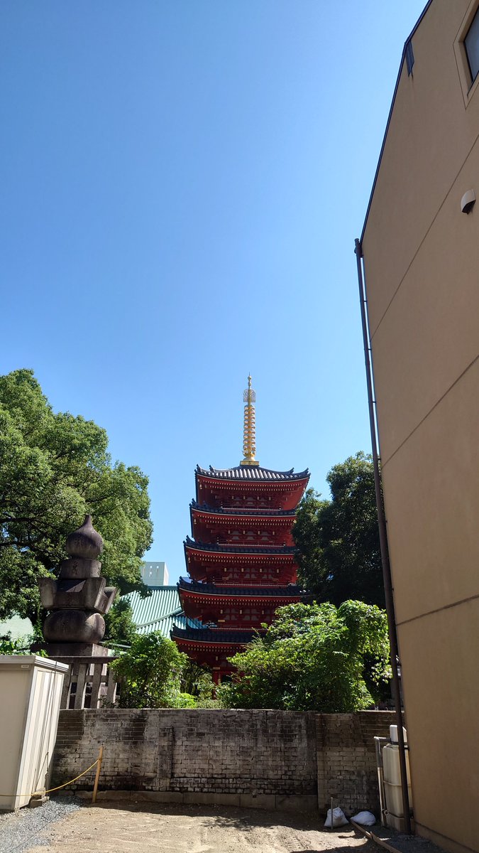 GOROGORO3DEATH's tweet photo. 散歩日和☺️ https://t.co/R8KTCUOZX0