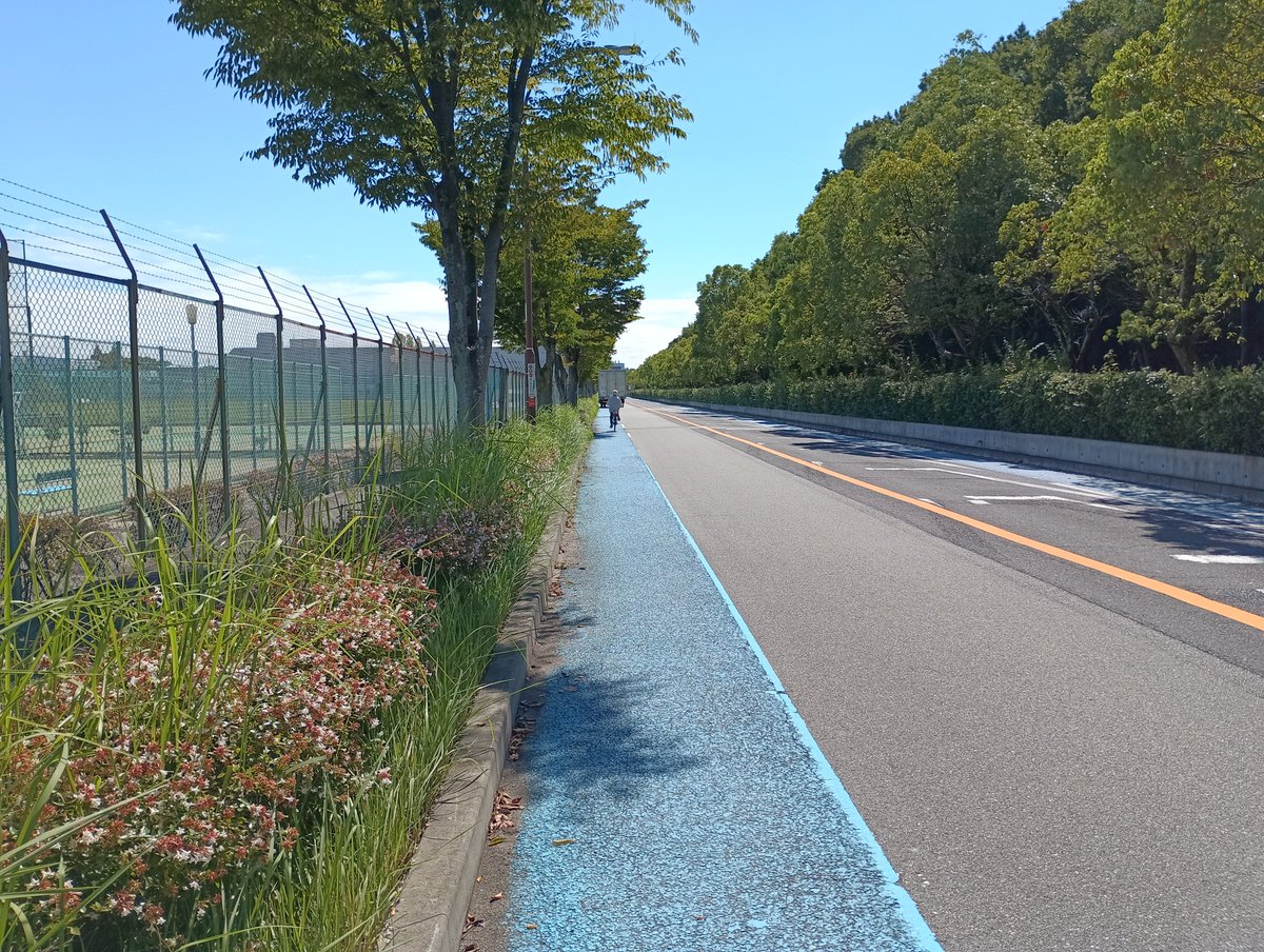 kino99's tweet photo. 今日は良い天気　
良く走る直線道路です、今日はここに停車するトラックに邪魔されました　私の道路じゃないし仕方ないですね

サイクリングシューズとペダルの相性も良く、普通に歩けるのも素晴らしいです　自転車屋さんで少し油を売ってから帰ります
#街乗りピスト #サイクリングシューズ #靴 https://t.co/WuZ6qMAUKp