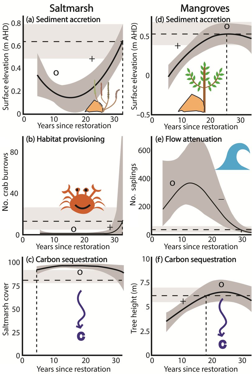 SEACSlab's tweet photo. New paper alert! Check out this awesome new paper, from our PhD student Dana Lanceman, on the temporal trajectories of developing functional traits in coastal wetlands of different restoration ages 🌿 🌊 🦀🌐  https://t.co/qt9C0uVey2 #saltmarsh #restoration #marineecology https://t.co/2QVsORGX0B