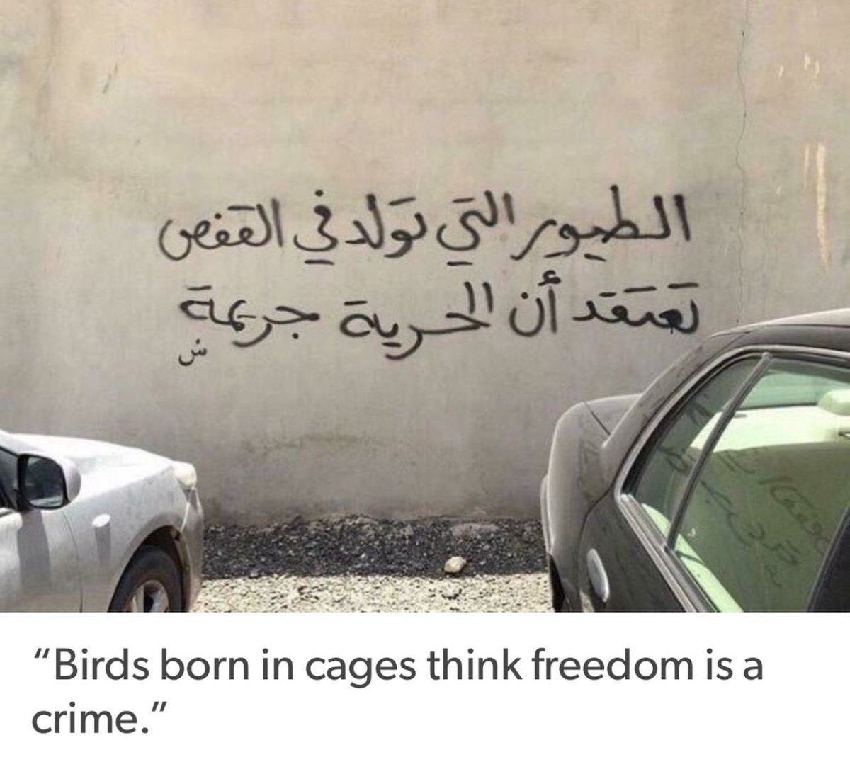 qfbk4h's tweet photo. #٢٠٣٠_بلا_نقاب #٢٠٣٠_بلا_نقاب #بلا_نقاب_٢٠٣٠ https://t.co/wACyvX54Pa