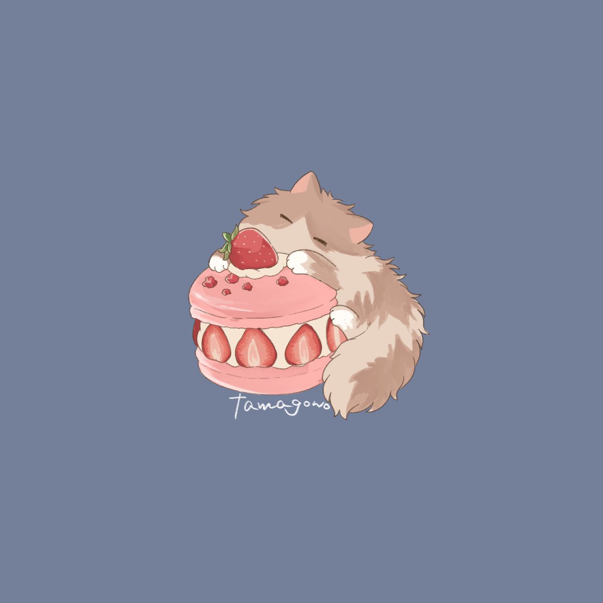 tamagonocat's tweet photo. 🍓💭🐈
 #イラスト  #猫 https://t.co/oUnZJ8YJrv