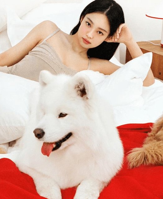 rubyaleister's tweet photo. kebetulan dari Jennie Lisa part 99999999x 👀 
LamLam Lily 😁
Jenlisa is real guys 🤍 https://t.co/8Ty2F9kO15