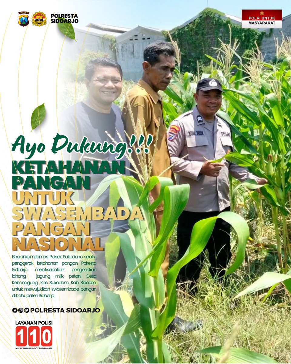 Deltasitik's tweet photo. Bhabinkamtibmas Polsek Sukodono Polresta Sidoarjo patroli sambang dan monitoring lahan ketahanan pangan Desa Kebonagung bersama petani untuk mendukung ketahanan pangan di Kabupaten Sidoarjo #ketahananpangan #swasembadapangan #polrestasidoarjo #polriuntukmasyarakat #polripresisi https://t.co/WiSw3H08t2
