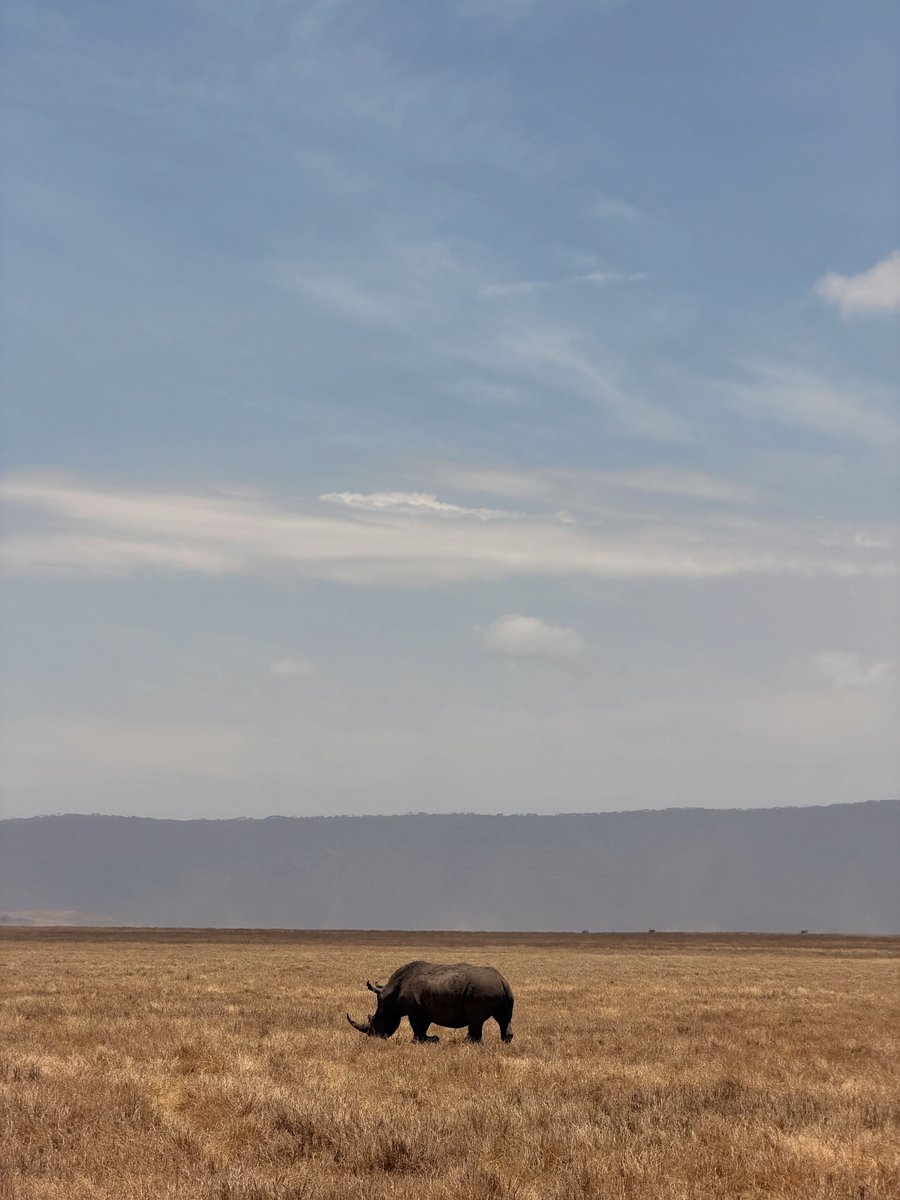 VisitTanzania1's tweet photo. Good Morning Ngorongoro Crater 🇹🇿 https://t.co/3q0yJ5X074