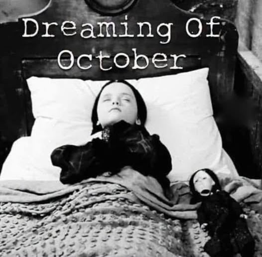 SubRosaMagick's tweet photo. #GoodNightWitches #goodnight #GoodNightTwitterWorld #GoodNightEveryone #goddess #sleepwell #SweetDreams #night #nightprayers #moonlight #witchesoftwitter #witches #moonmystic #staywild #moonchild )O( https://t.co/HsEuiNNLJ5