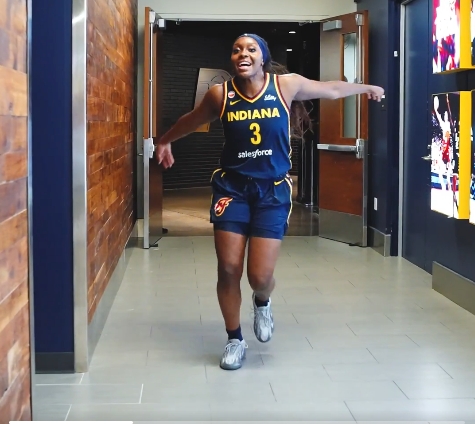 bakerlarry84's tweet photo. @IndianaFever OUR RAVEN WITH THE WINGS UP 😁LFG #playoffdub https://t.co/6U442S9Rwk