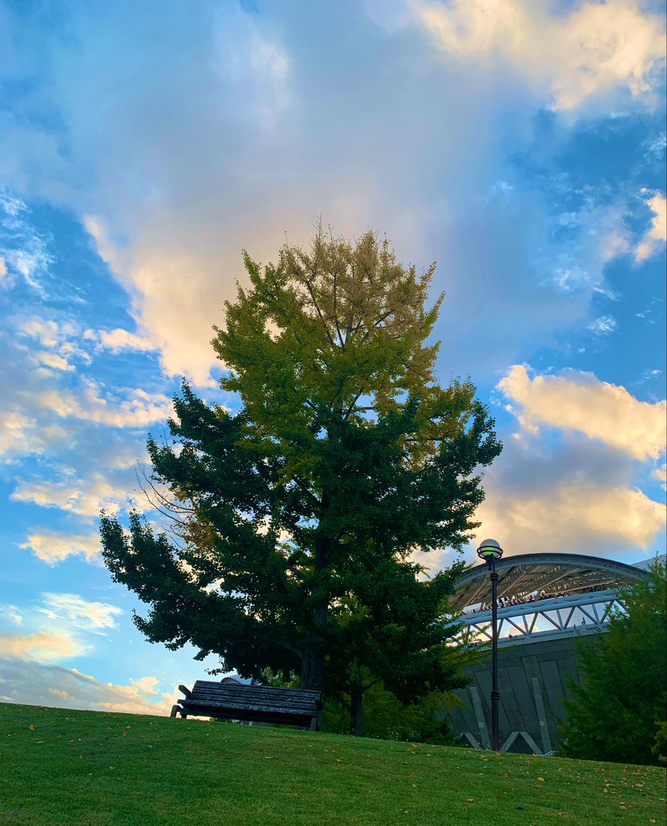 SudaMahjong's tweet photo. こんにちは！
今日は9月の最終開校日です🏫

楽しく学んでいきましょう！🀄️ https://t.co/BT4uvMOfkh