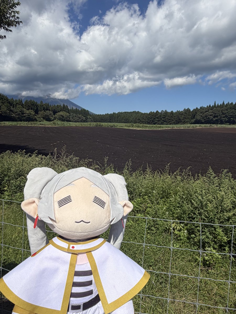 FRIEREN_PR's tweet photo. 農場のフリーレン https://t.co/oOJmuaKCPo