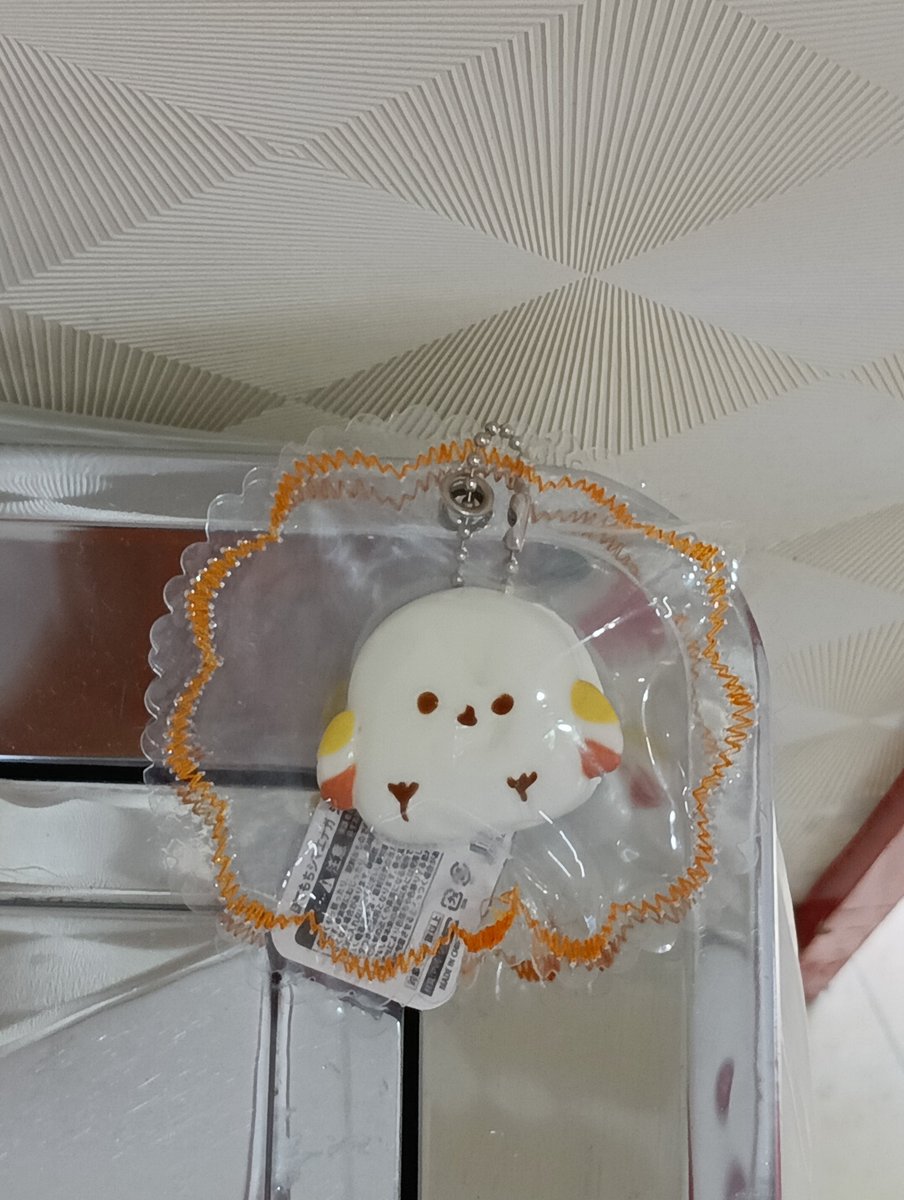 ___yk98___'s tweet photo. ・

今月はシルバーウィークがあって、充実した9月でした！
来月はわたしのお誕生日もあるのでよろしくです(笑)

・ https://t.co/q67HtZu5yc