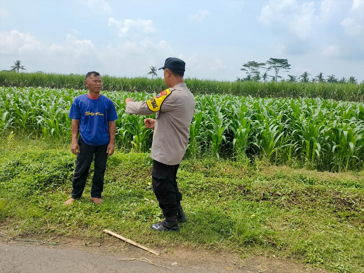 MalangJabung's tweet photo. .
#astacita #swasembadapangan #ketahananpangan #ketahananpanganpoldajatim #ssdmpolri #divhumaspolri #birosdmpoldajatim #bidhumaspoldajatim #polresmalang #kabupatenmalang https://t.co/xUnUHkk9Uk