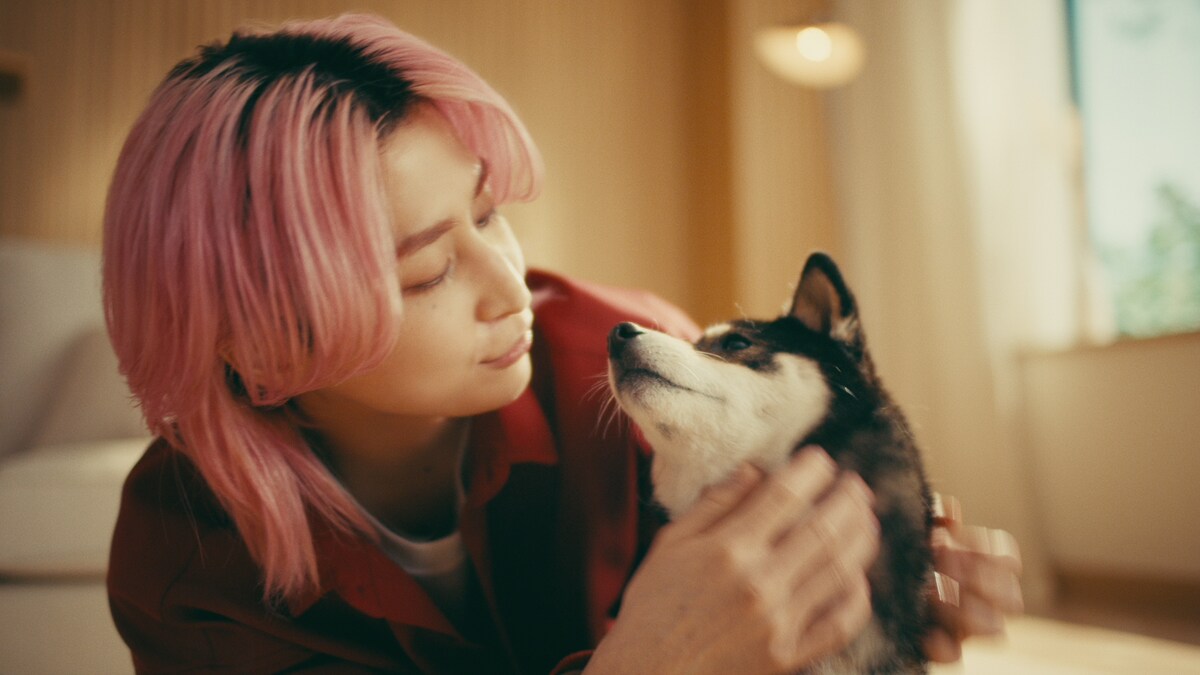 natalie_mu's tweet photo. Snow Man佐久間大介「懐石」新CM🐾

🐈️猫と“だるまさんが転んだ”
🐕️犬と「どちらの懐石にしようかワン」

動画はこちら💘
https://t.co/ZqFzp5TmXz https://t.co/AfqQtWdvwD