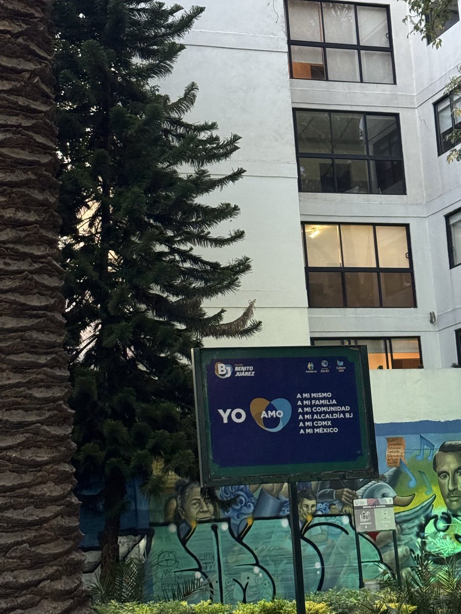 revuelta2020's tweet photo. @LuisMendozaBJ Para cuando remueven la palmera muerta del parque de Cri Cri en pestalozzi? O tiene que pedirlo una inmobiliaria que esté construyendo? Hay niños y familias en riesgo @LuisMendozaBJ @AccionesBJ @BJAlcaldia @ClaraBrugadaM @SEMARNAT_mx  y dejen de tirar árboles en Rebsamen https://t.co/1zKHh2hel1