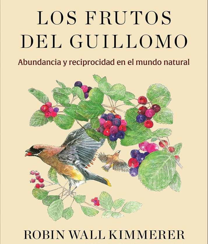 nausicaadelaire's tweet photo. "Una gratitud que fluye hacia nuestros mayores, las plantas, e irradia hacia la lluvia, el brillo del sol, la improbabilidad de los arbustos cubiertos de lentejuelas, bocados de dulzor en un mundo que puede resultar amargo."

Robin Wall Kimmerer https://t.co/H3P9JhGU2Y