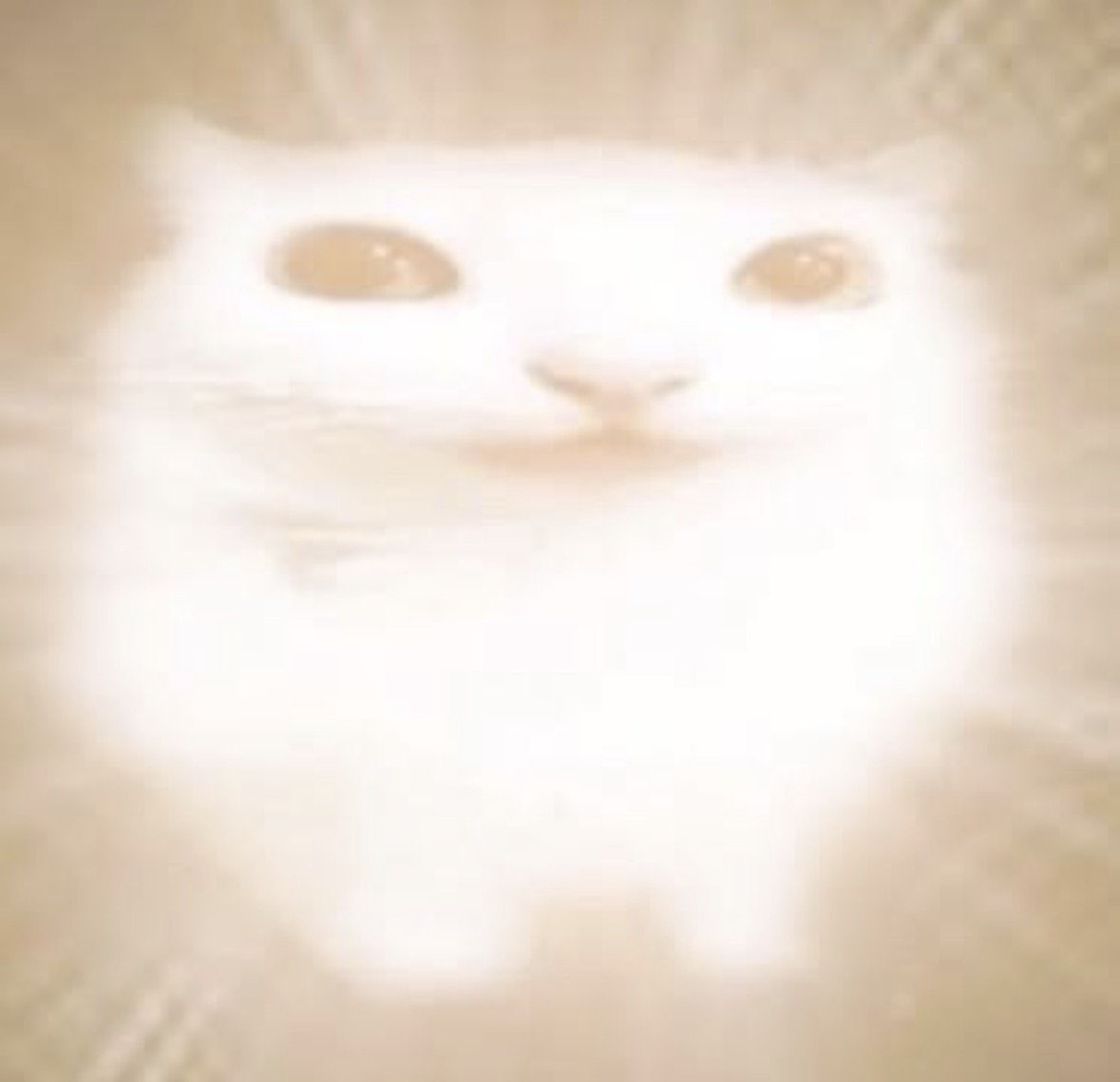 littlemegsoup's tweet photo. okay goodnight #mogie https://t.co/tHgCCBJTDA