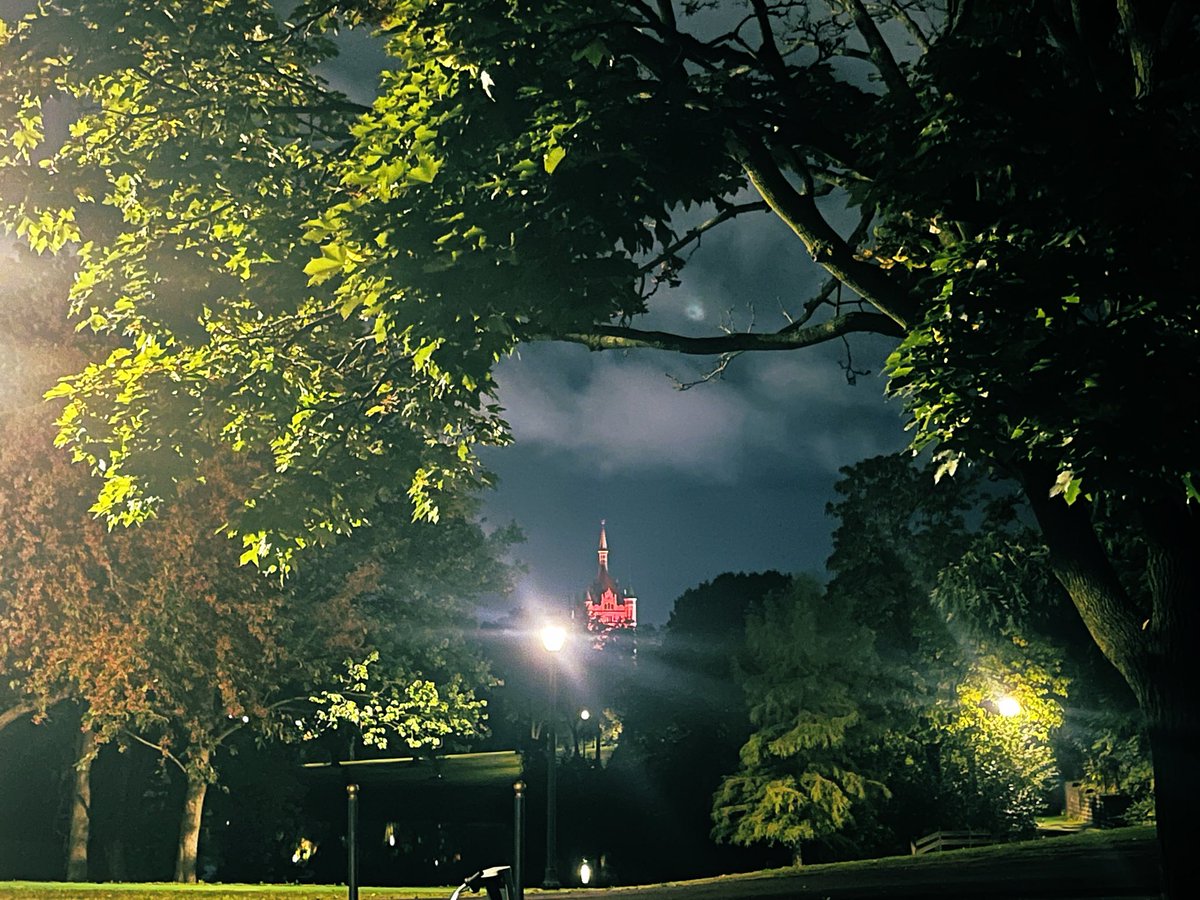 mattbad820's tweet photo. fall nights >>> https://t.co/v2oBNvndxq