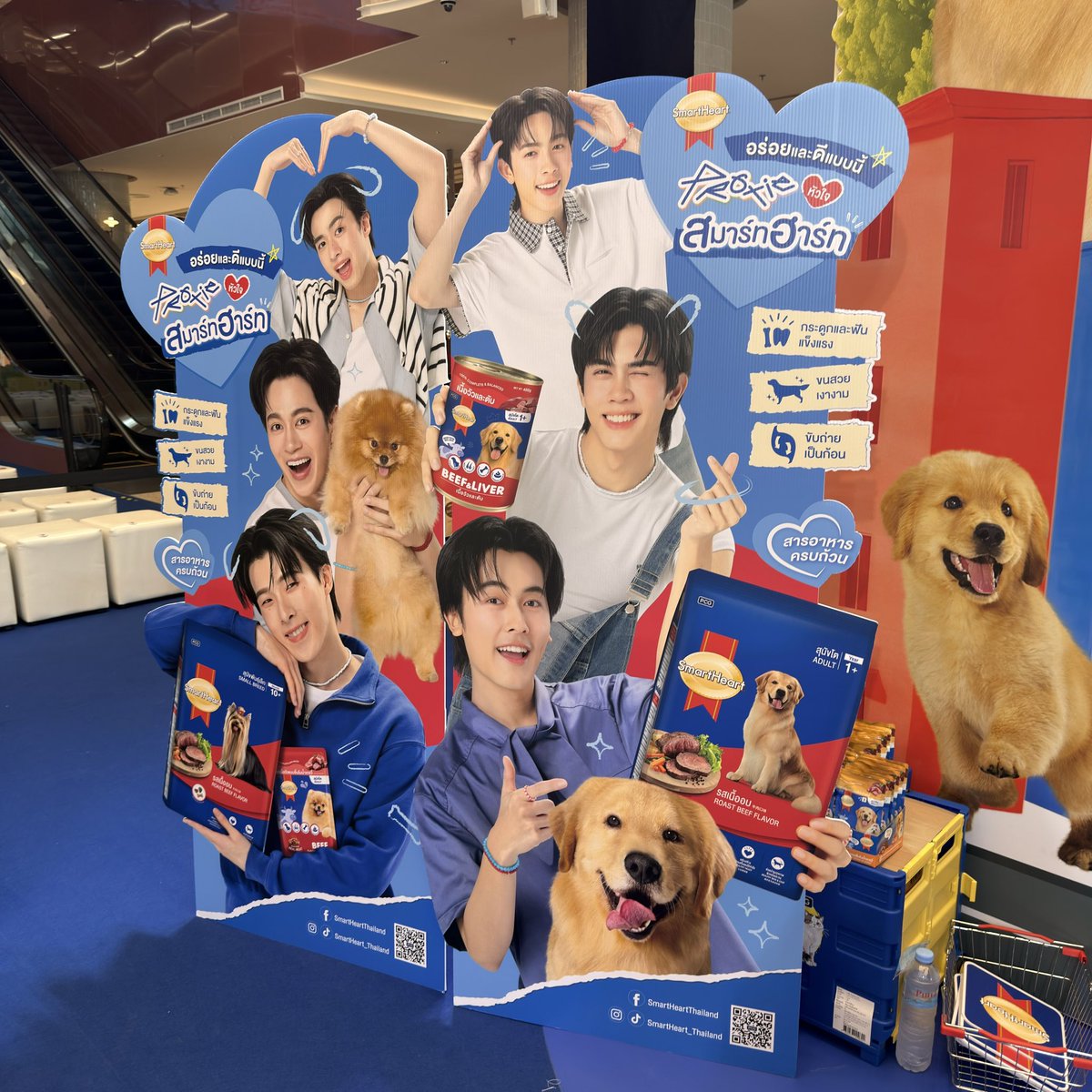 SmartHeart_TH's tweet photo. 💙 วันนี้เตรียมตัวให้พร้อม แล้วมาเจอกัน

📣 HAPPY PETS x3 IN THE CITY : SmartHeart x PROXIE
พบกับความสนุกและโมเมนต์สุดพิเศษจาก SmartHeart x PROXIE 🐶💙

📅 30 ก.ย. 69
📍 PARKSIDE HALL ชั้น G, Dusit Central Park

แล้วมาเจอกันนะครับบบ 💙✨

#SmartHeart #SmartHeartxPROXIE #PROXIE #HappyPets #7ElevenThailand