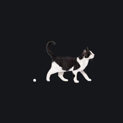 dotcatxyz's tweet photo. welcome to https://t.co/HuzpJCdbca

turn any sol address into a .cat address

old or new wallets

you must pay 10,000 $dotcat for it to work. that supply then gets burned and fees go toward a communal address bid wallet https://t.co/X5CDrhPs39
