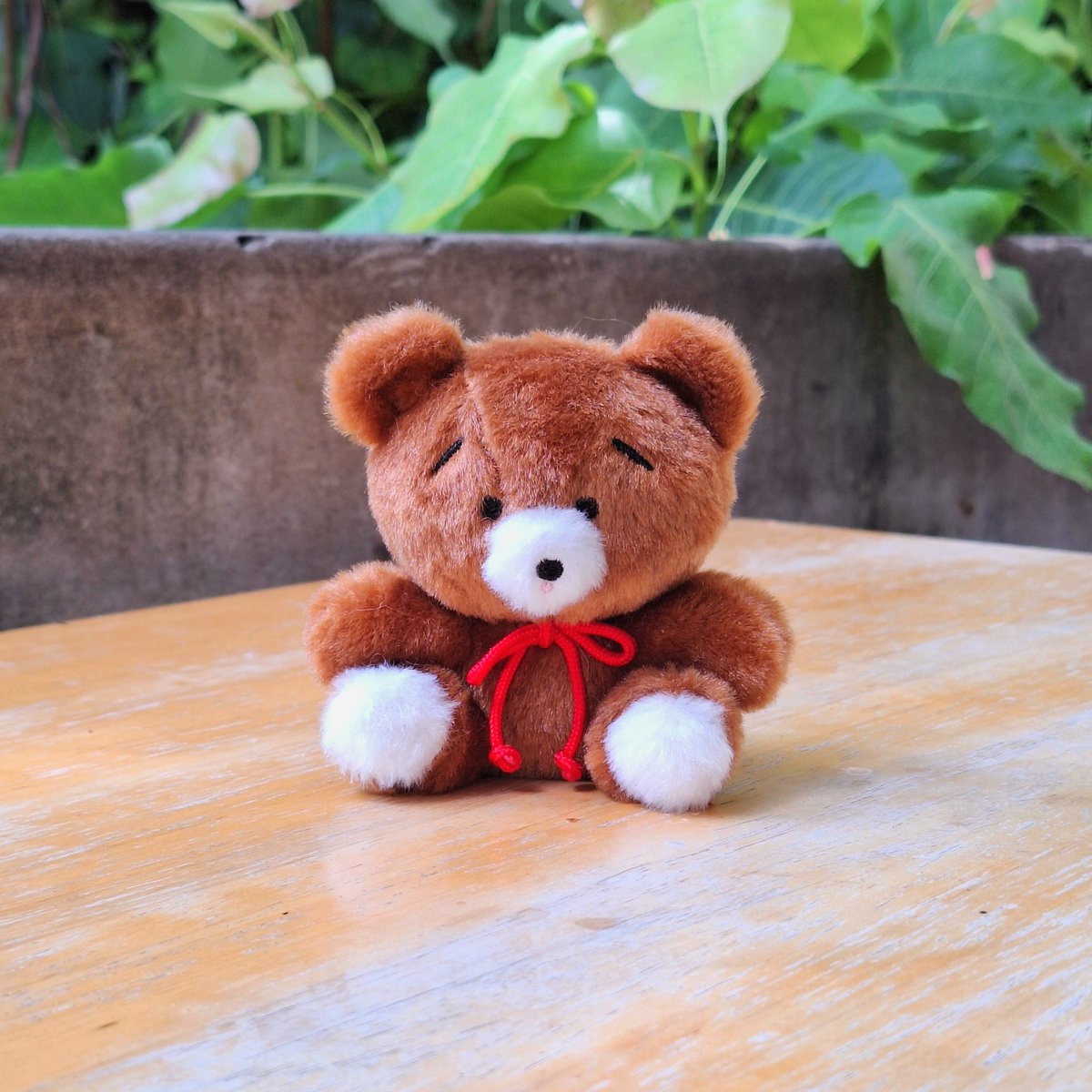 resznoxx's tweet photo. น้องหมีถึงมือเรียบร้อยค่า ʕ´•ᴥ•`ʔ ทางร้านใจดีเหมือนเดิมเลย ขอบคุณที่เป็นธุระให้อีกครั้งนะคะ🥺💖 #อวดกู๊ดส์กับโมนากะจัง https://t.co/Wuu0AdkErT