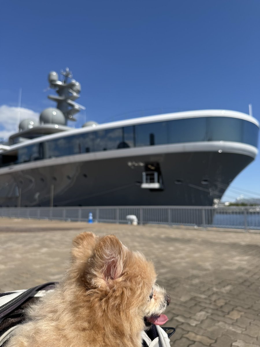 cafecampagne11's tweet photo. 前澤さんの船見てきたよ。格好いいね〜🥰選ばれし人が乗れるんだねー。 https://t.co/QOYNIyuhcn