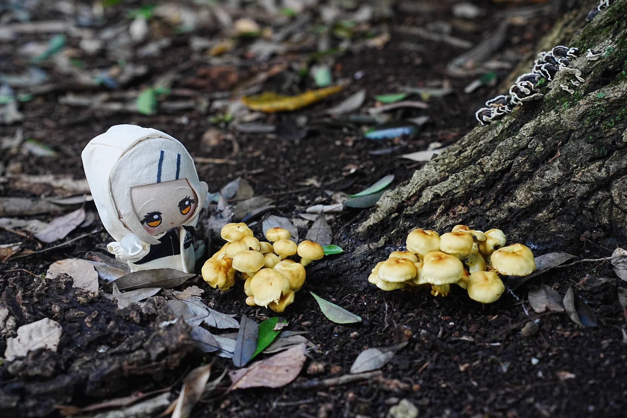 しもこし🌻 on X: 