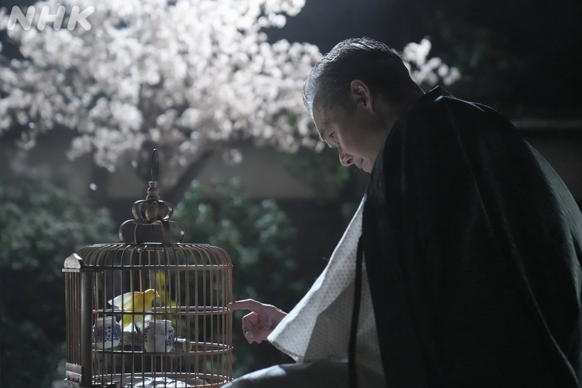 asadora_bk_nhk's tweet photo. 夜桜が舞う月明かりの下、カナリアを見つめる清治さん。
家族に見せる姿とは違う、どこか寂しげな横顔に、何かを感じとった珠でした。

📱#ブラッサム はNHK ONEで配信中
https://t.co/BMiFRwSrn6

#渡部篤郎
#ブラッサム https://t.co/ewnuuLdrk8