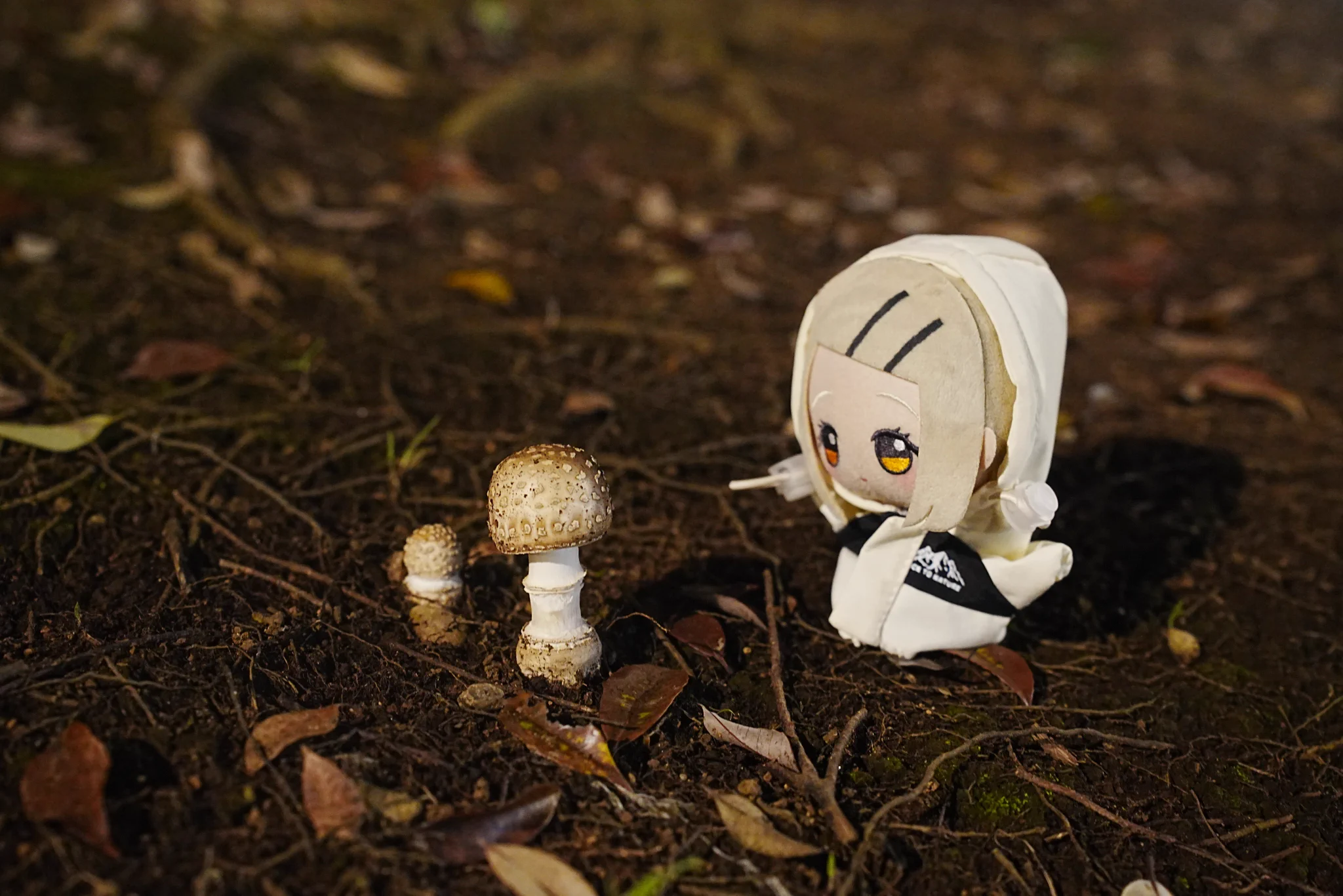 しもこし🌻 on X: 