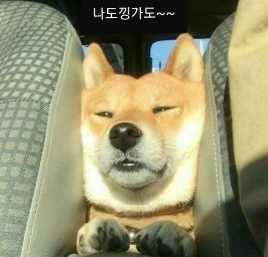 rain859058's tweet photo. @MiJin_Gc @yessl_11 저두 껴줘용~~🤭🤭🤣🤣
ㅋㅋㅋㅋㅋ https://t.co/quPdRLyu16