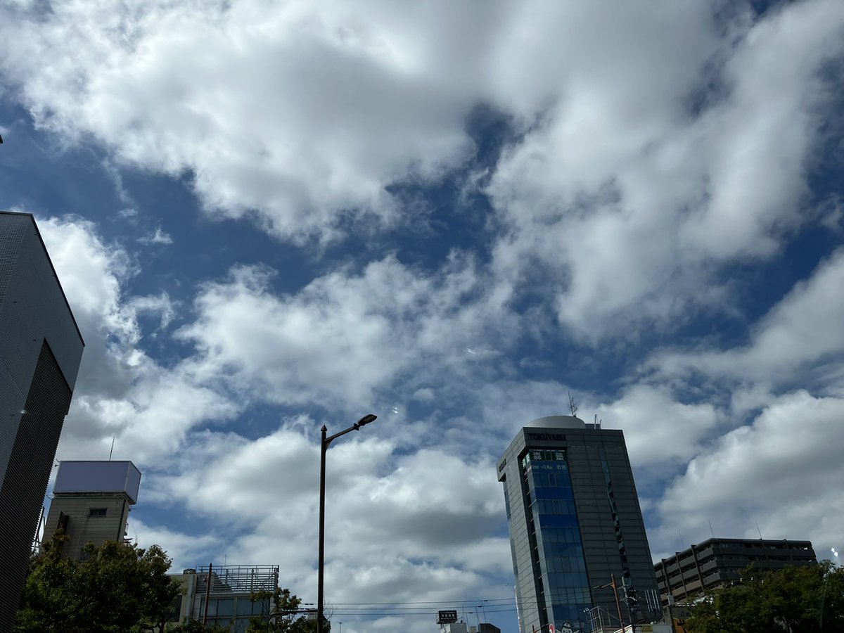 NANIWATAXIDR's tweet photo. おはようございます😊

今日は久しぶりに雨☔ではない空でございます…

朝イチ田舎の駅前にヘタってると客人👩🏻‍🦳登場
乗るなり何か独り言を宣う…😅
(ヤバいやつなのか？)
目的地に着くまで、ブツブツ…
(明らかにヤバい…)

700円でしたが、お釣りくれました…😅
(いいヤツだった？)

さて
今日は九月最終日
明日から十月ですね
今年もあと三ヶ月でございます、な😵
(オノオノ方お覚悟よろしいか？？)

では
皆さま、ご安全に🦺🚕

#なんのお覚悟とか？
#つるんばしのﾈﾁｬﾈﾁｬ天丼🍤
#高校の学食はコロモ度98パーセント❣️😵