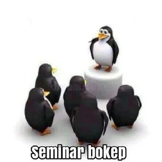 Jamrd_fuzui's tweet photo. Maomao:
Pengetahuan bokep luar biasa dengan 0 pengalaman menggelar seminar bokep https://t.co/65Ss6yM7K0