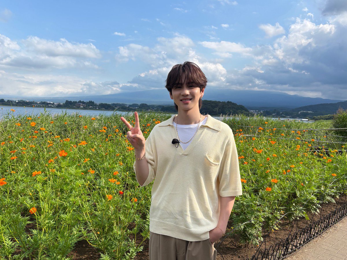 N__hoku36's tweet photo. ヒルナンデス録画するの忘れてた💦📺 https://t.co/cbeNW4TFvC
